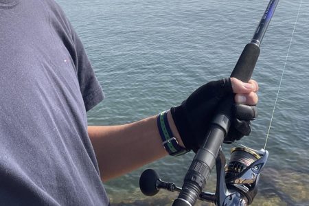 キスはまだ釣れるのかな。